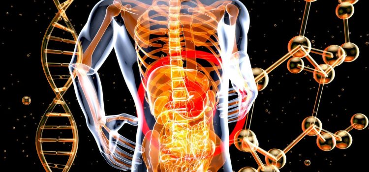 what is gut health